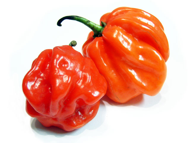 pepper habanero walmart canada on where to buy scotch bonnet peppers in edmonton